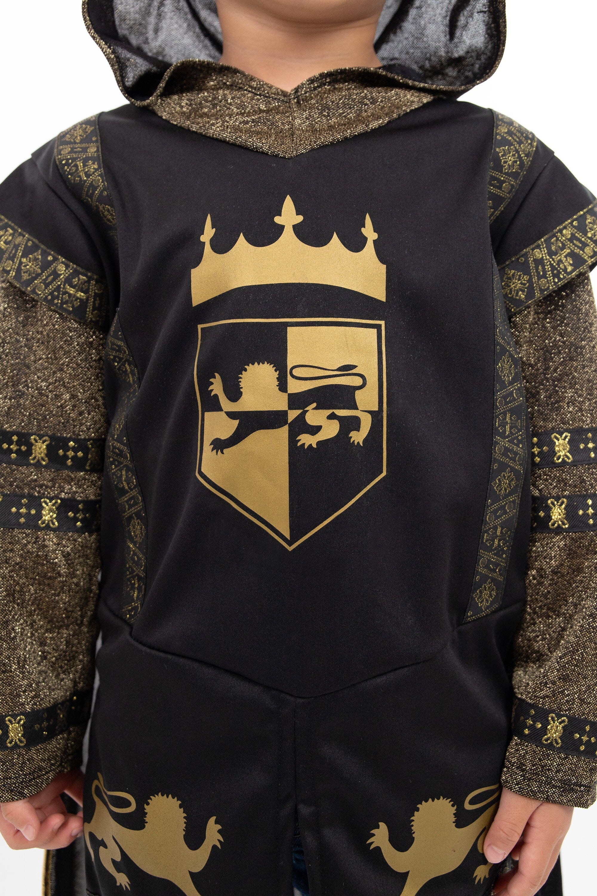 Black Lion Knight - Image 2