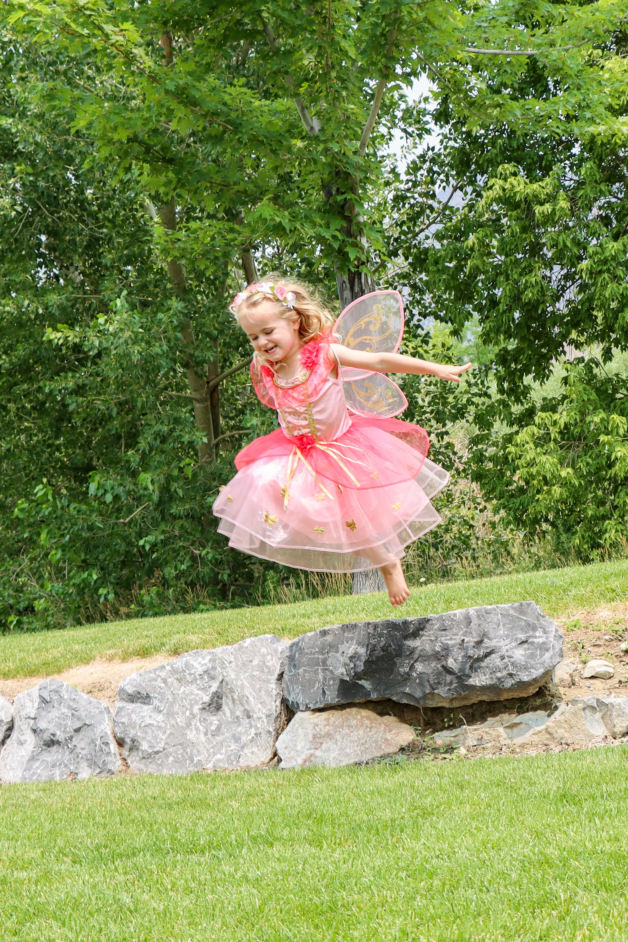 Butterfly Fairy - Image 9