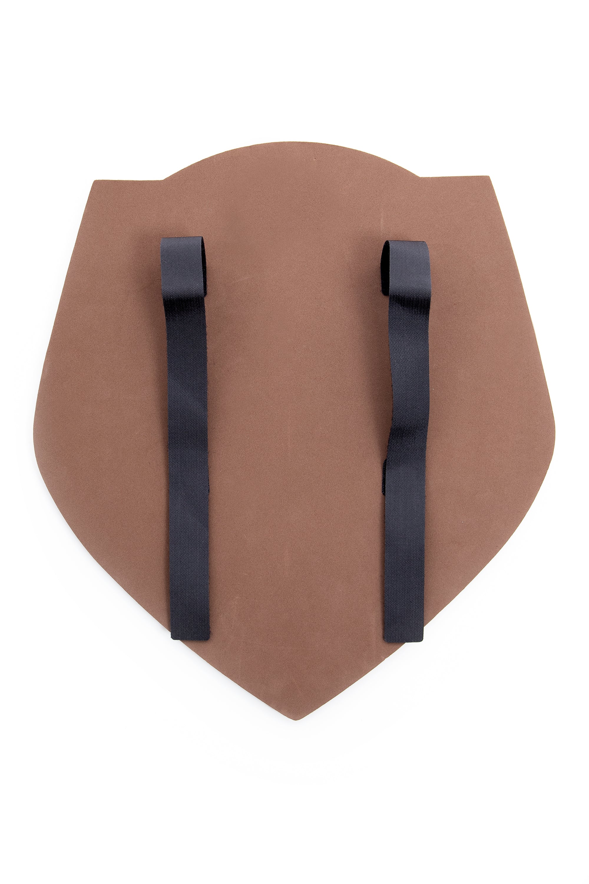 Pirate Shield - Image 2